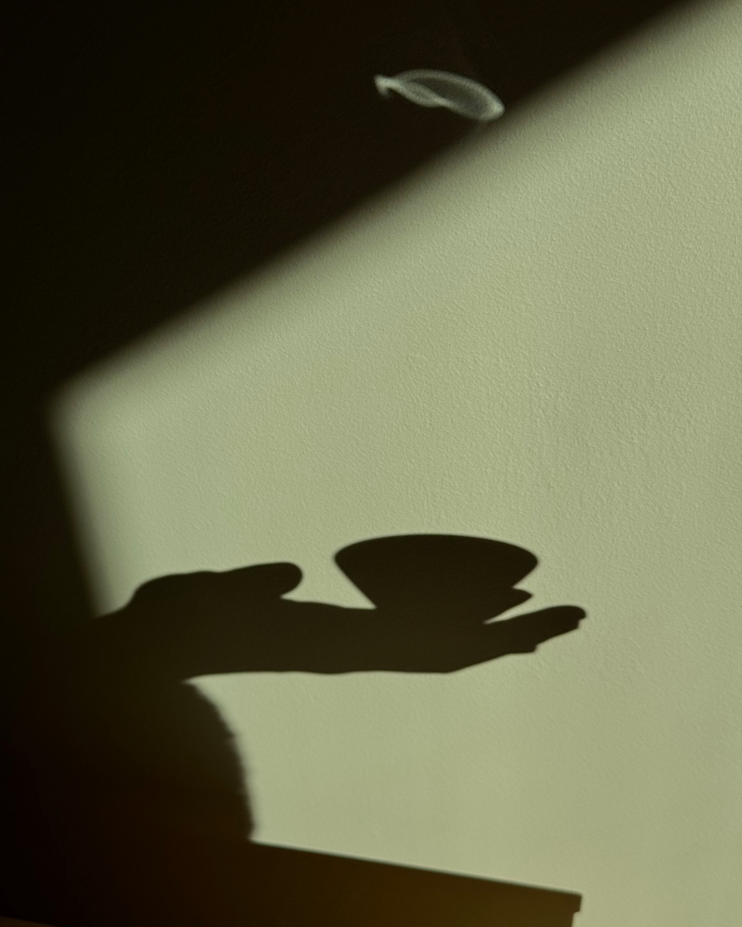 Oriental Beauty - 东方美人