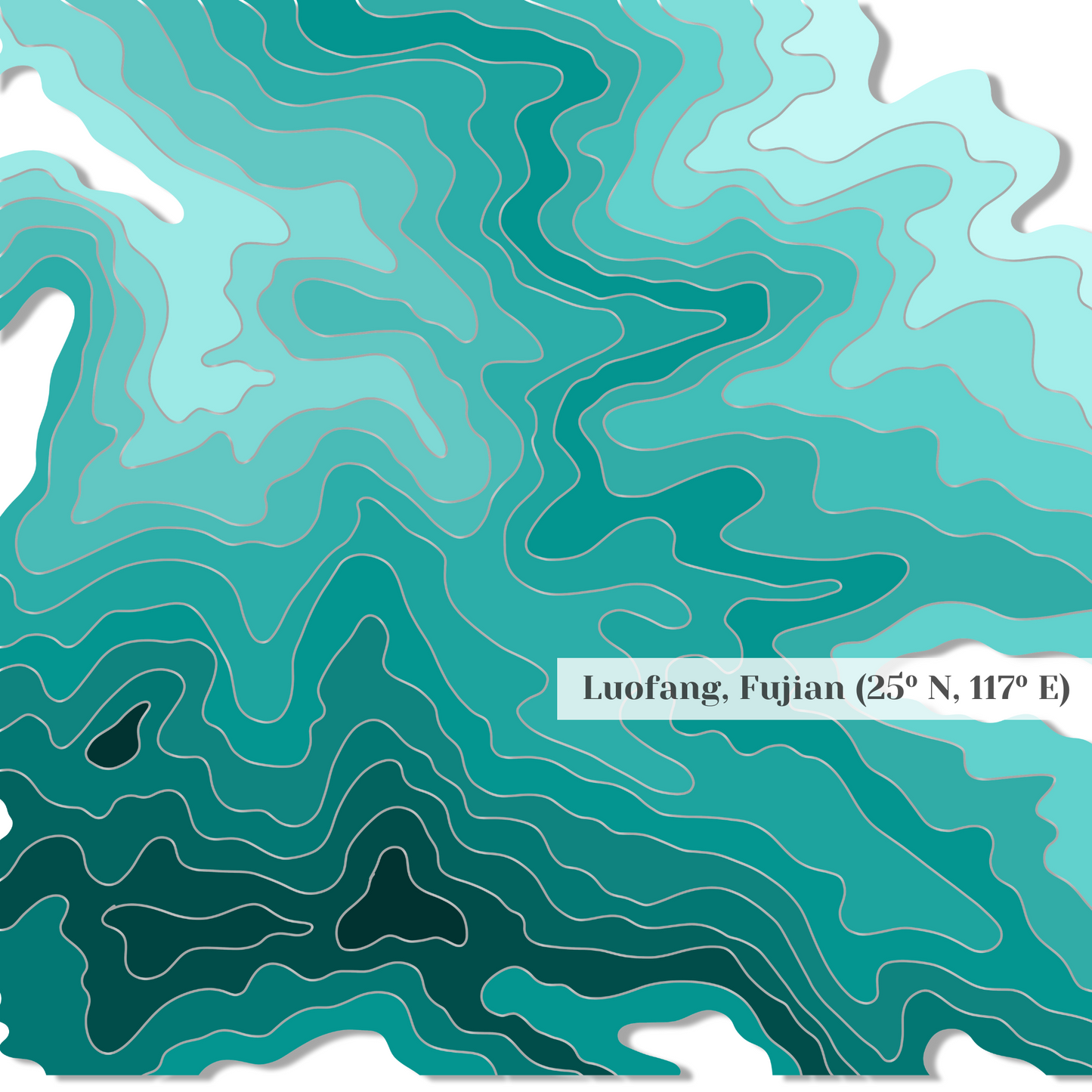 Da Hong Pao Oolong Tea