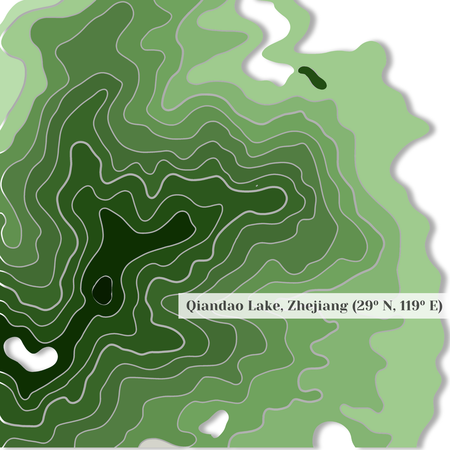 Dragon Well Green Tea