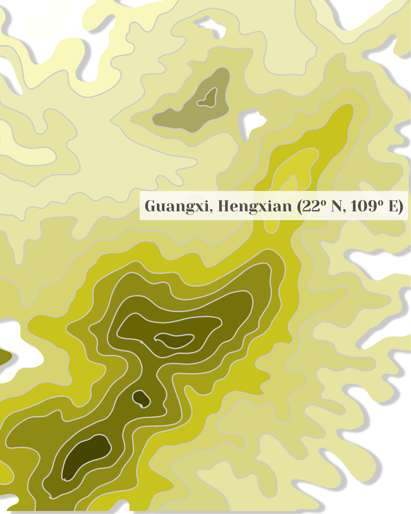 Jasmine Silver Needle White Tea