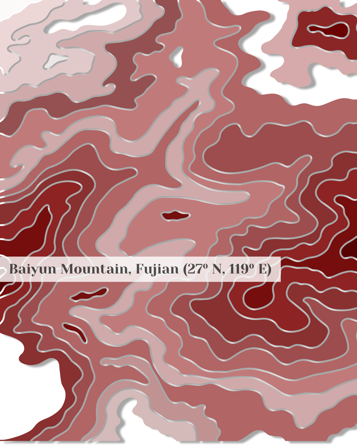 Tan Yang Gong Fu Black Tea