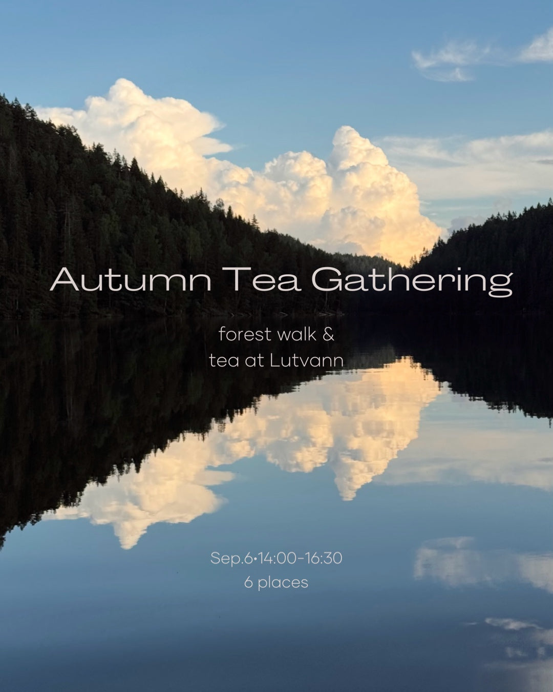 Early Autumn Tea Gathering