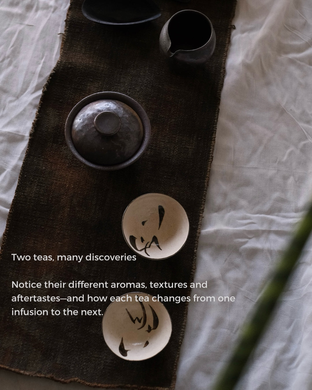 Chinese Tea Ceremony • Oolongs (Oct.11 2026)
