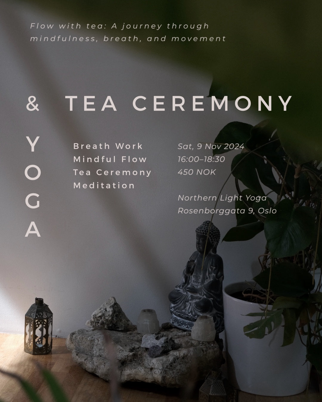 Yoga & Tea Ceremony (Nov.9 2024)