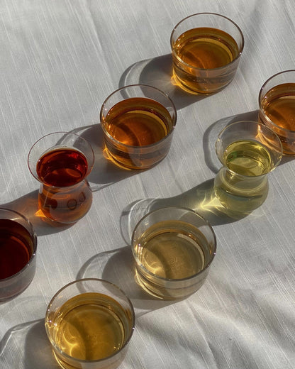 Sampler Set: Sip & Discover